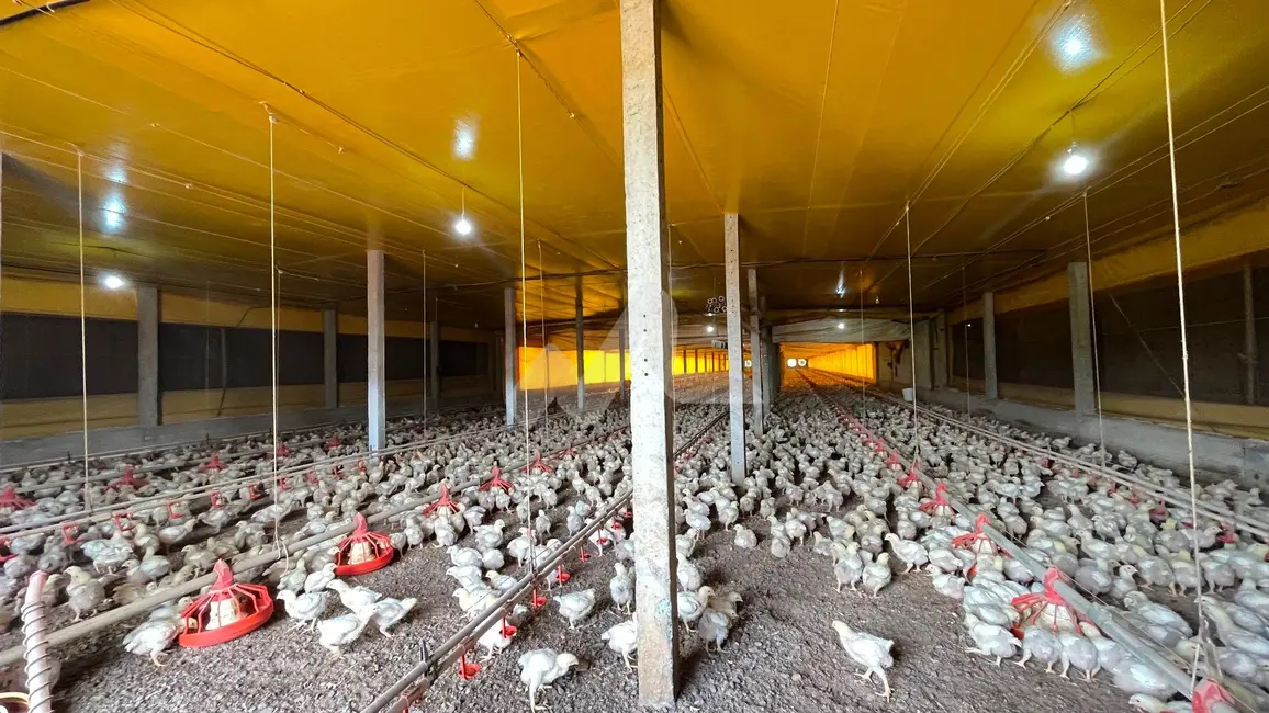 Foto 10 de Chácara à venda, 48m2 em Toledo - PR