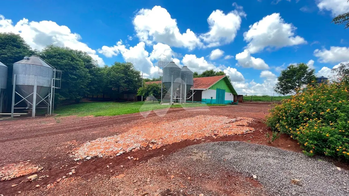 Foto 7 de Chácara à venda, 48m2 em Toledo - PR