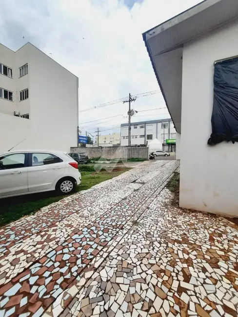 Terreno / Lote à venda, 1000m2 em Centro, Toledo - PR - imagem 7 Foto 7 de Terreno / Lote à venda, 1000m2 em Centro, Toledo - PR