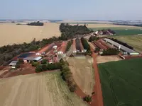 Imagem 4