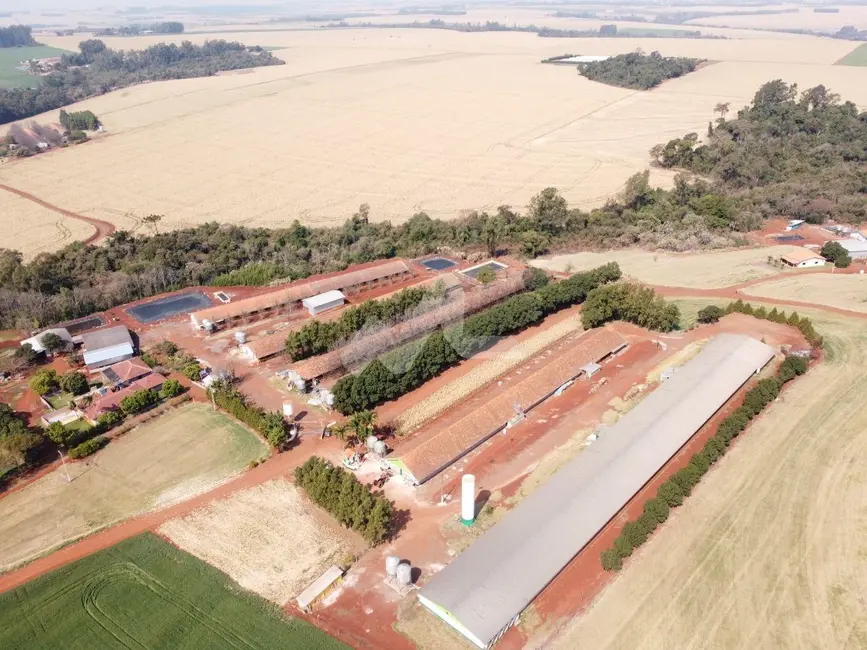 Fazenda / Haras à venda em Toledo - PR - imagem 2 Foto 2 de Fazenda / Haras à venda em Toledo - PR