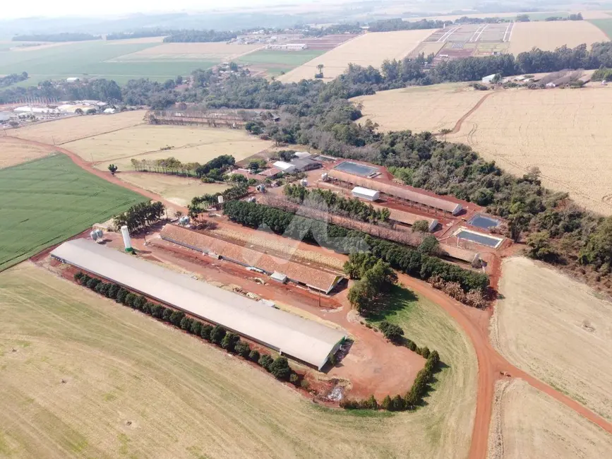 Fazenda / Haras à venda em Toledo - PR - imagem 5 Foto 5 de Fazenda / Haras à venda em Toledo - PR