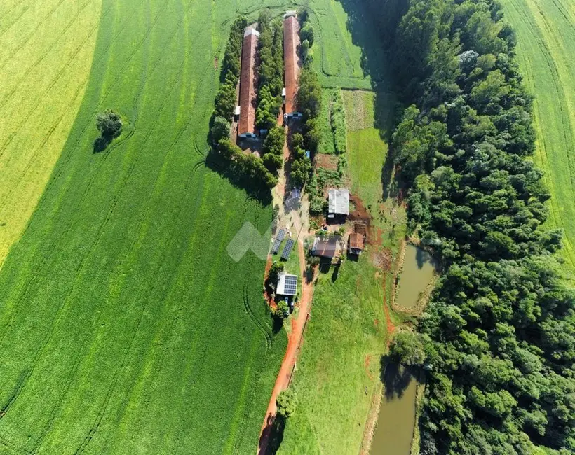 Foto 2 de Chácara à venda em Cascavel - PR