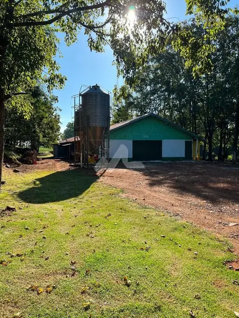 Foto 19 de Chácara à venda em Cascavel - PR
