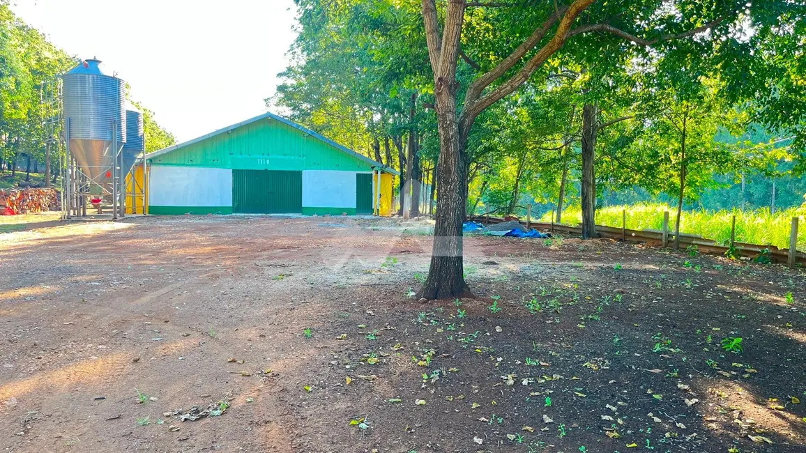 Foto 9 de Chácara à venda em Cascavel - PR