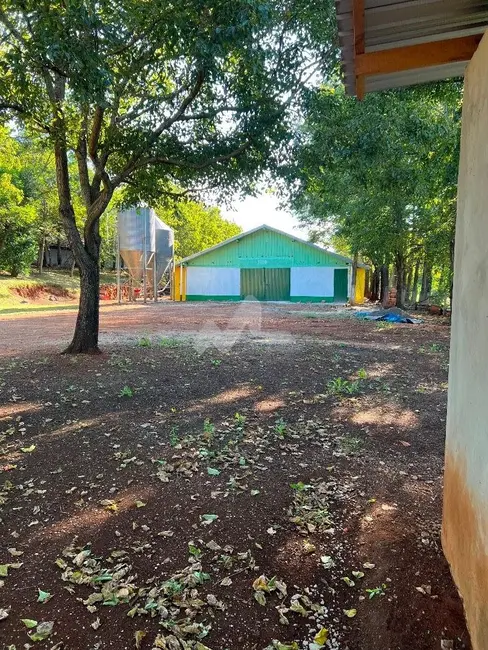 Foto 23 de Chácara à venda em Cascavel - PR