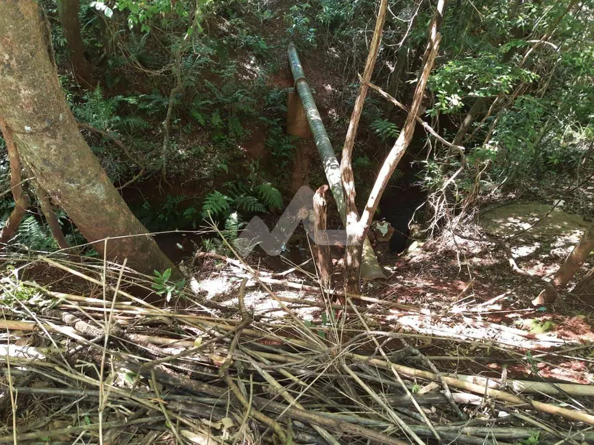 Foto 3 de Chácara à venda, 12000m2 em Jardim Concórdia, Toledo - PR