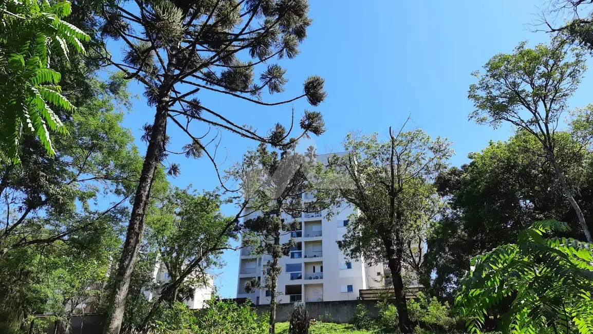 Foto 7 de Chácara à venda, 12000m2 em Jardim Concórdia, Toledo - PR