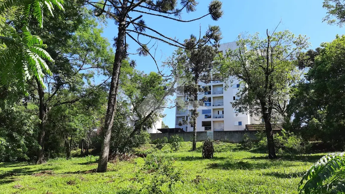 Foto 6 de Chácara à venda, 12000m2 em Jardim Concórdia, Toledo - PR