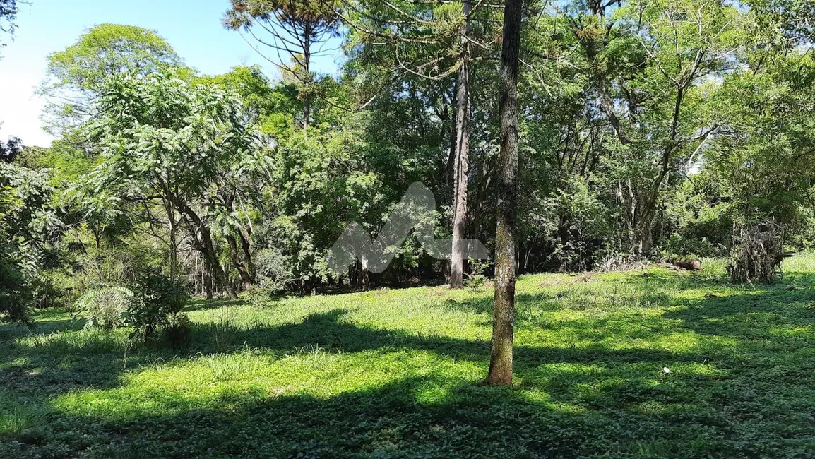 Foto 4 de Chácara à venda, 12000m2 em Jardim Concórdia, Toledo - PR