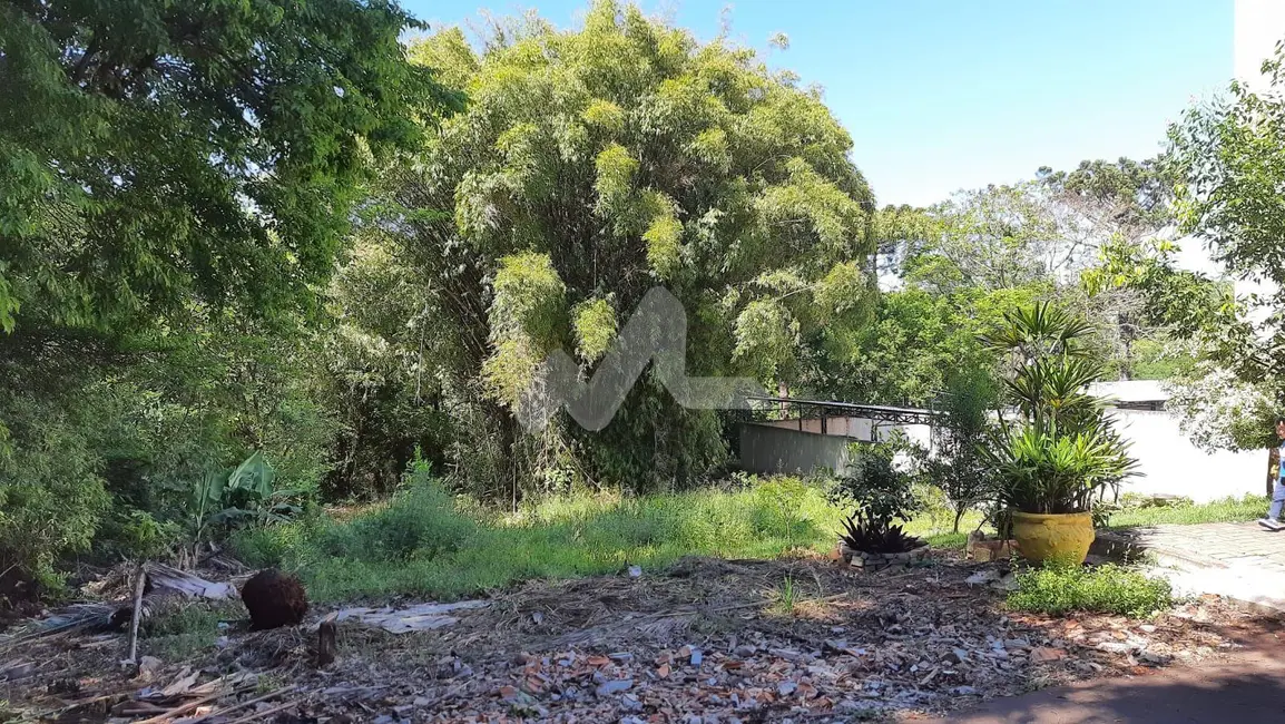 Foto 2 de Chácara à venda, 12000m2 em Jardim Concórdia, Toledo - PR