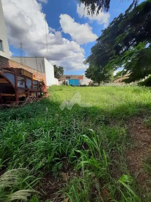 Terreno / Lote à venda, 610m2 em Jardim Porto Alegre, Toledo - PR - imagem 3 Foto 3 de Terreno / Lote à venda, 610m2 em Jardim Porto Alegre, Toledo - PR