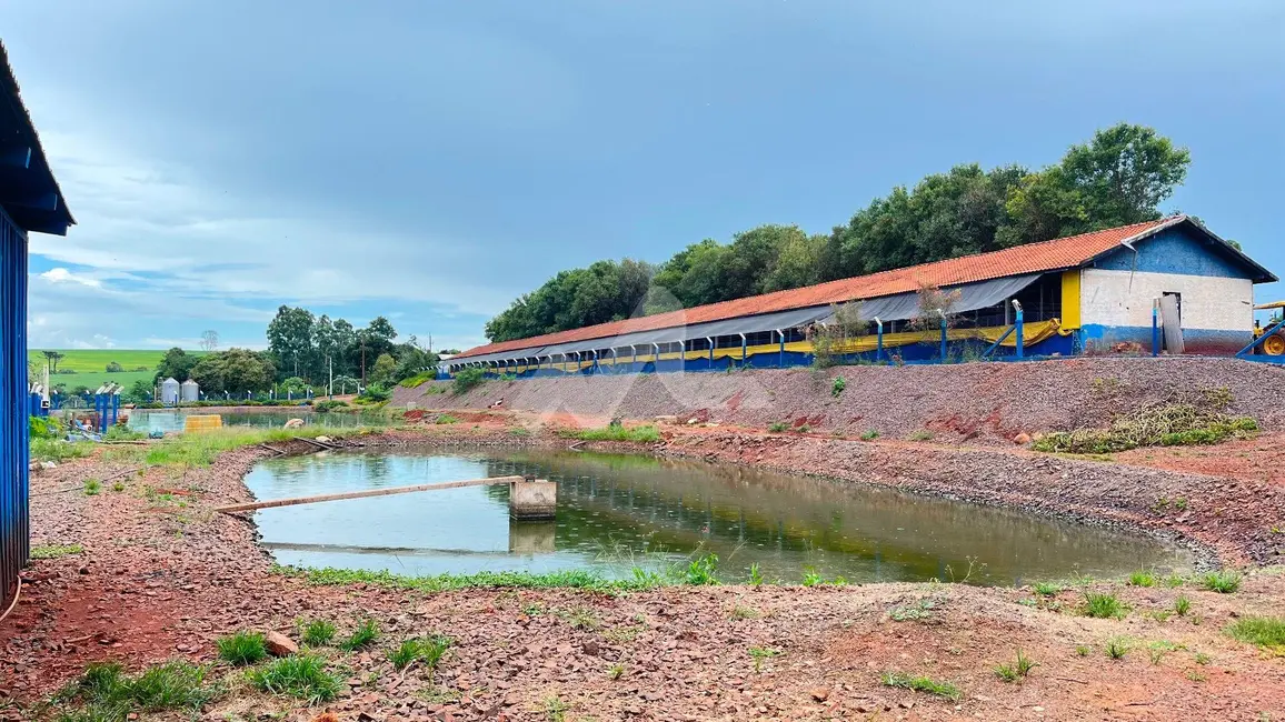 Armazém / Galpão à venda, 30m2 em Toledo - PR - imagem 3 Foto 3 de Armazém / Galpão à venda, 30m2 em Toledo - PR