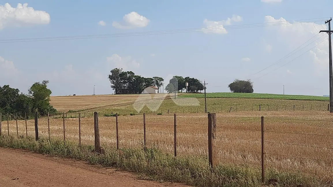 Foto 7 de Chácara à venda em Sao Pedro Do Iguacu - PR
