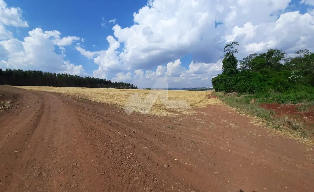 Foto 1 de Chácara à venda em Sao Pedro Do Iguacu - PR