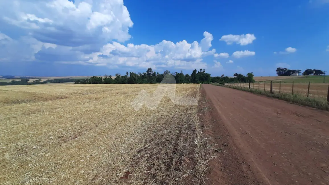 Foto 5 de Chácara à venda em Sao Pedro Do Iguacu - PR