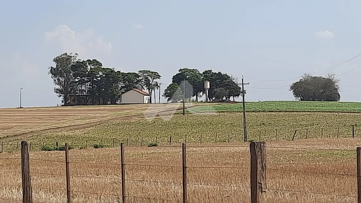 Foto 6 de Chácara à venda em Sao Pedro Do Iguacu - PR