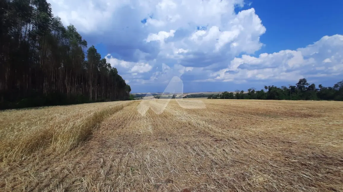 Foto 9 de Chácara à venda em Sao Pedro Do Iguacu - PR
