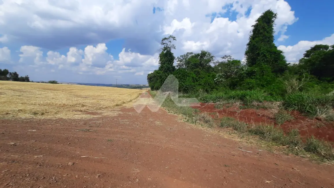 Foto 3 de Chácara à venda em Sao Pedro Do Iguacu - PR