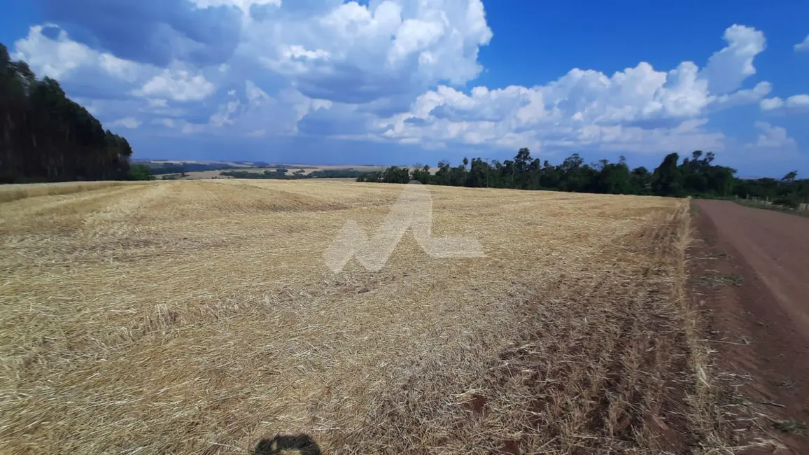 Foto 4 de Chácara à venda em Sao Pedro Do Iguacu - PR