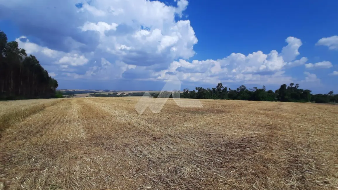 Foto 8 de Chácara à venda em Sao Pedro Do Iguacu - PR