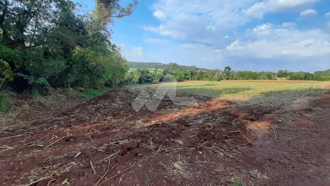Foto 2 de Chácara à venda em Toledo - PR
