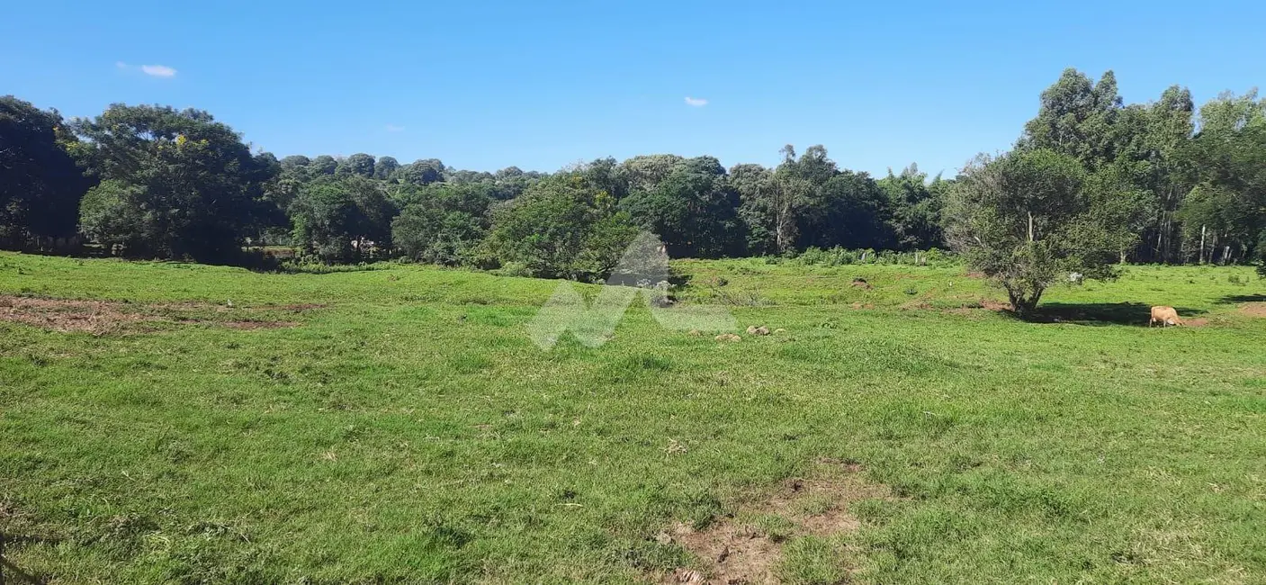 Foto 1 de Fazenda / Haras à venda em Marechal Candido Rondon - PR