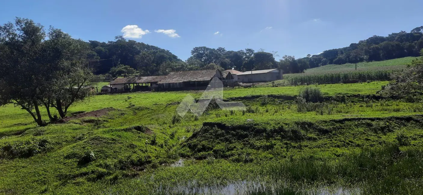 Foto 2 de Fazenda / Haras à venda em Marechal Candido Rondon - PR
