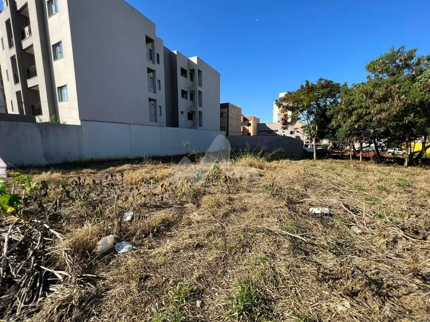 Terreno / Lote à venda, 420m2 em Tocantins, Toledo - PR - imagem 5 Foto 5 de Terreno / Lote à venda, 420m2 em Tocantins, Toledo - PR