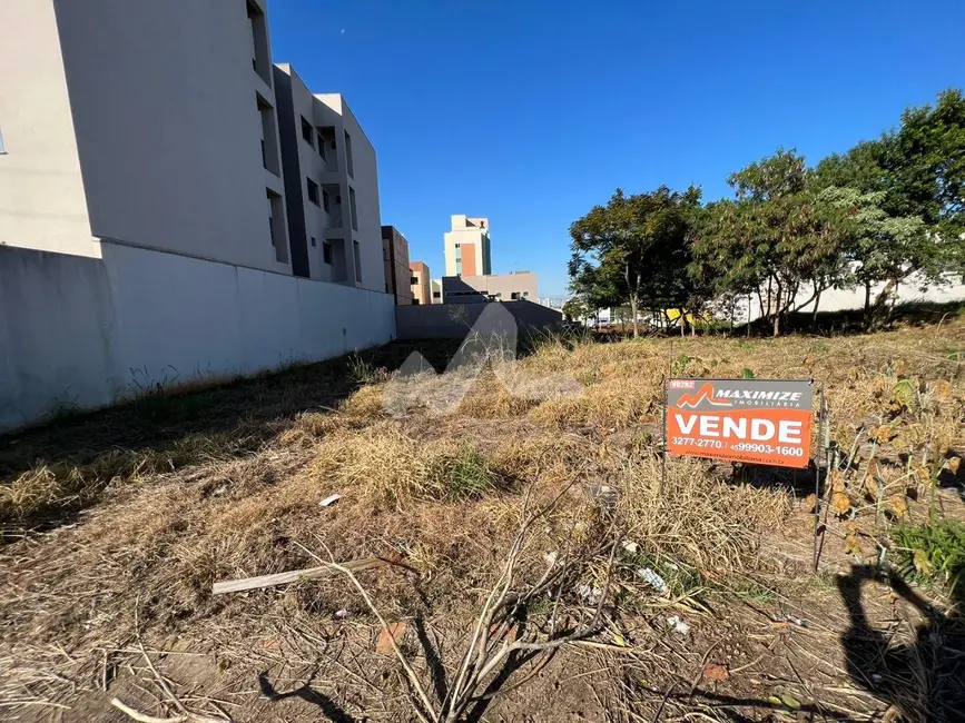 Terreno / Lote à venda, 420m2 em Tocantins, Toledo - PR - imagem 4 Foto 4 de Terreno / Lote à venda, 420m2 em Tocantins, Toledo - PR