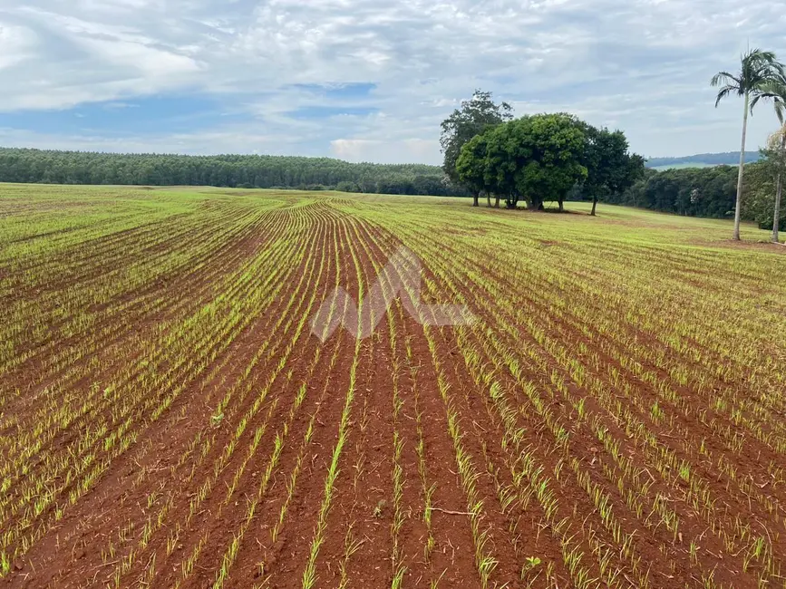 Foto 1 de Chácara à venda, 726m2 em Toledo - PR