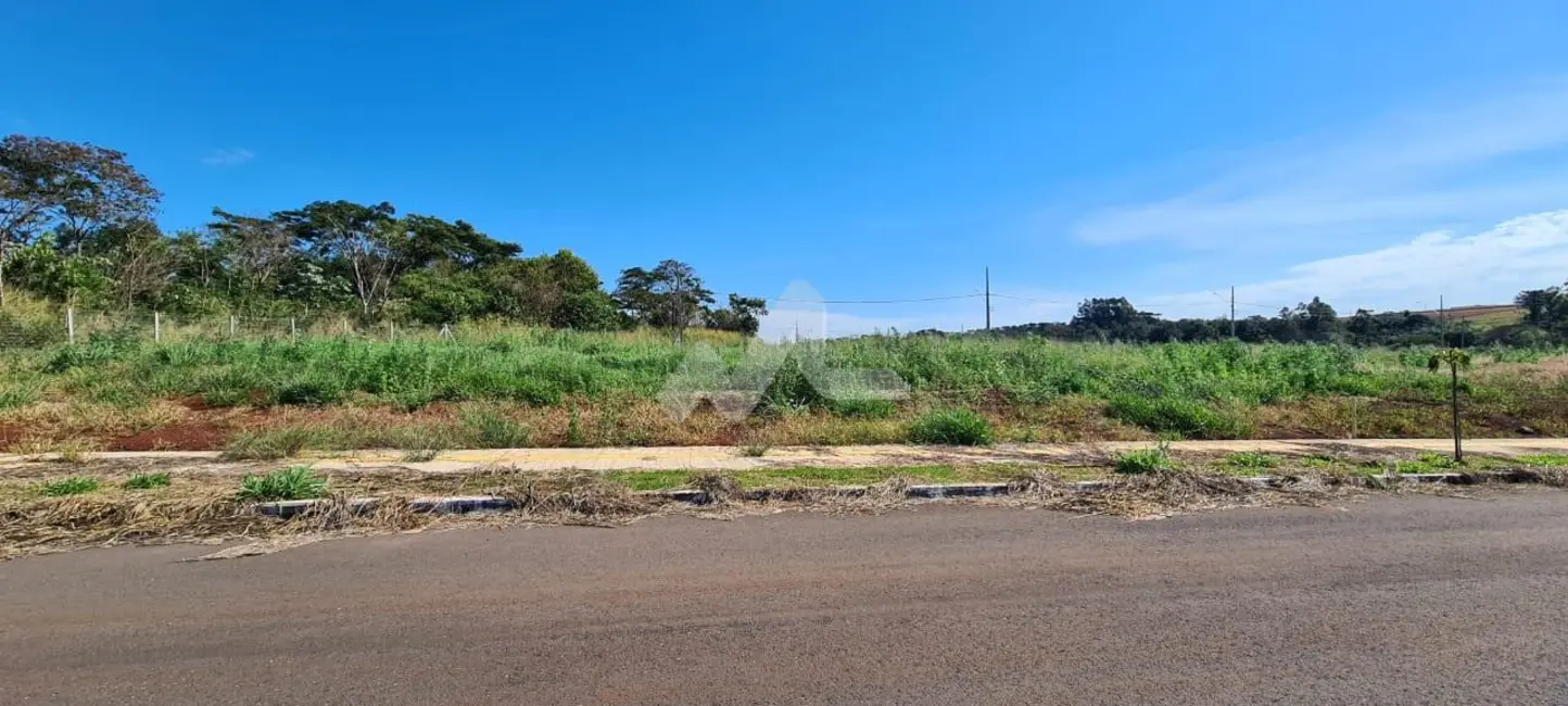 Terreno / Lote à venda, 250m2 em Jardim Coopagro, Toledo - PR - imagem 3 Foto 3 de Terreno / Lote à venda, 250m2 em Jardim Coopagro, Toledo - PR
