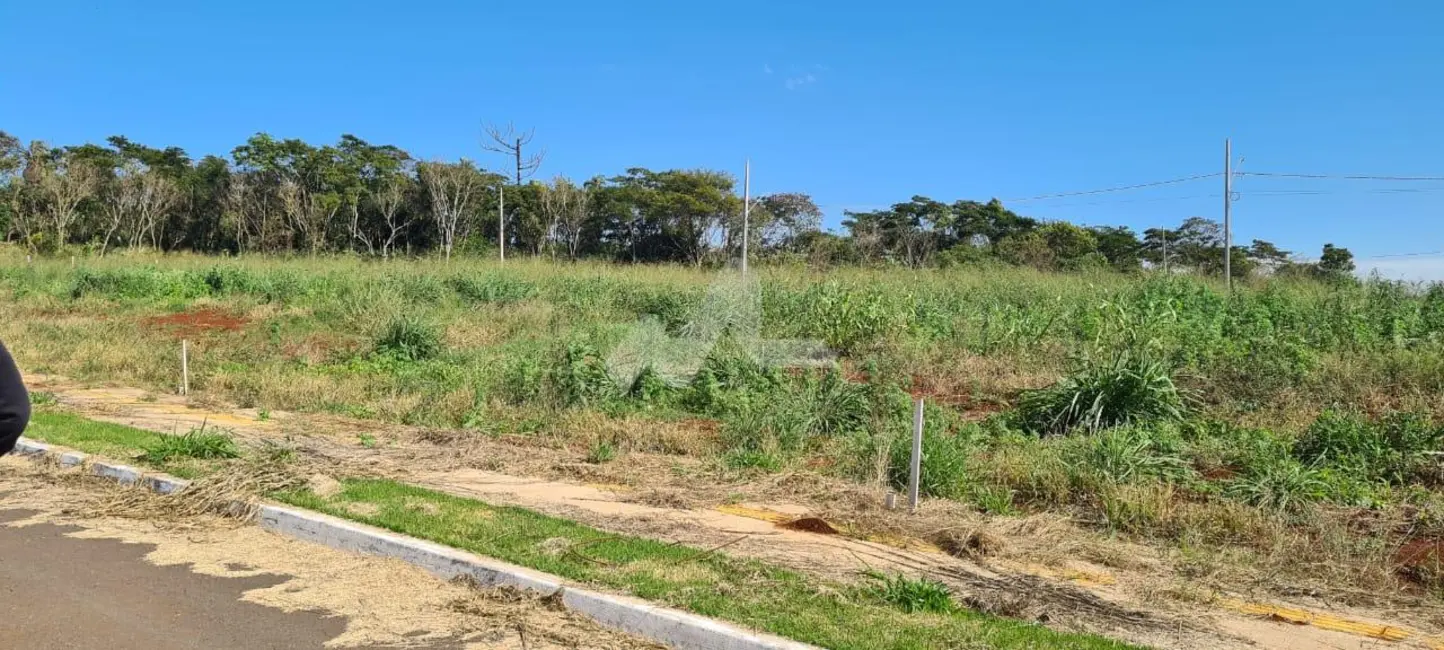 Terreno / Lote à venda, 250m2 em Jardim Coopagro, Toledo - PR - imagem 4 Foto 4 de Terreno / Lote à venda, 250m2 em Jardim Coopagro, Toledo - PR