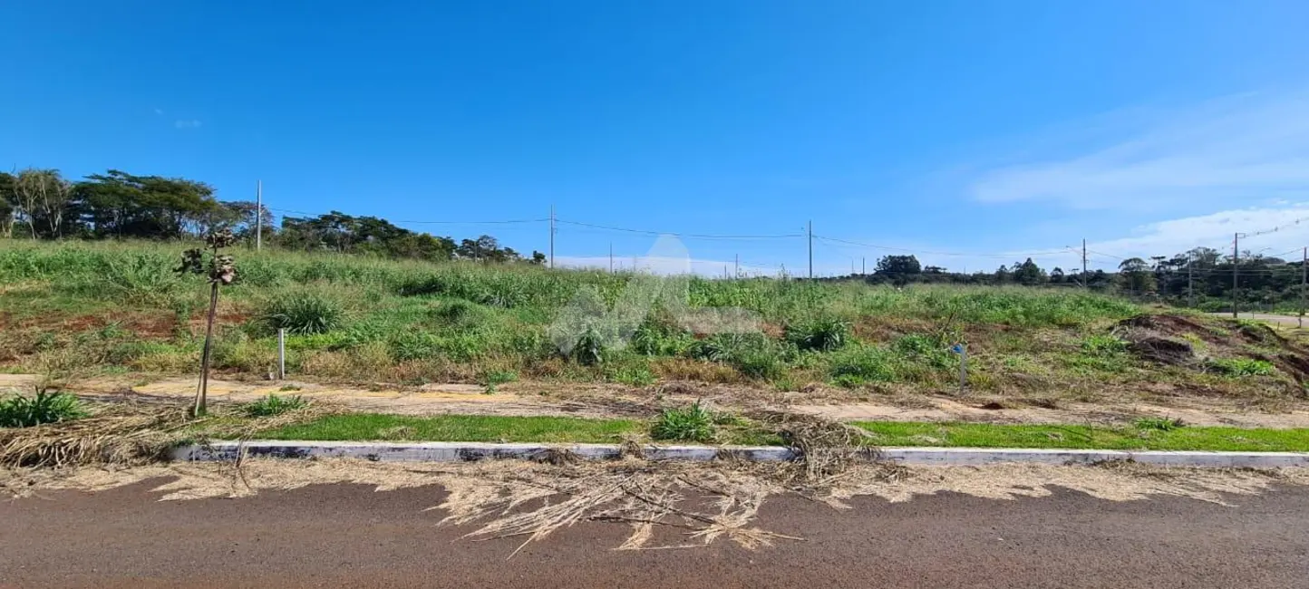 Terreno / Lote à venda, 250m2 em Jardim Coopagro, Toledo - PR - imagem 5 Foto 5 de Terreno / Lote à venda, 250m2 em Jardim Coopagro, Toledo - PR