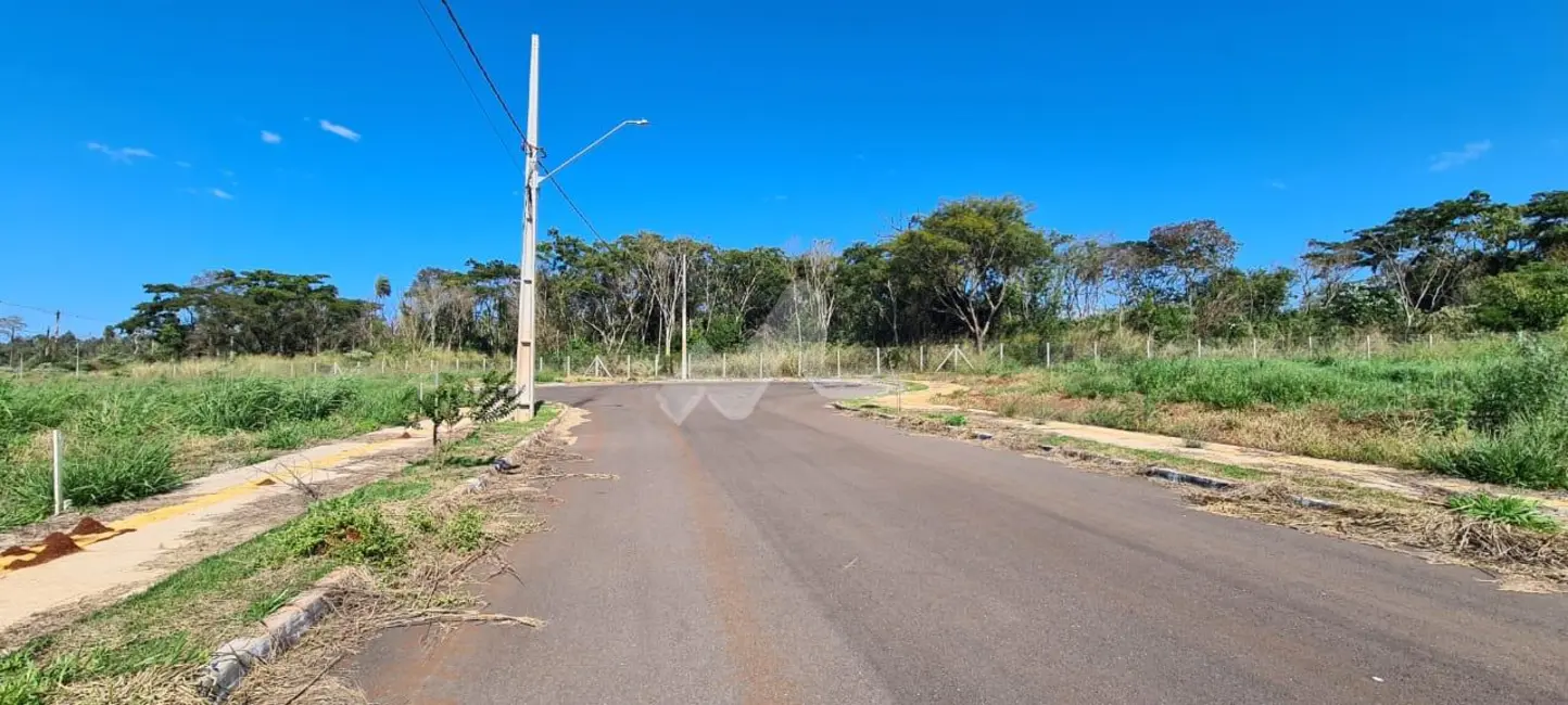 Foto 2 de Terreno / Lote à venda, 250m2 em Jardim Coopagro, Toledo - PR