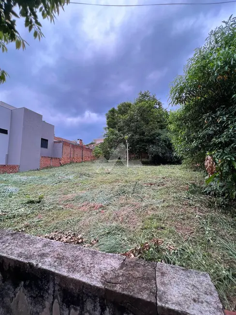 Foto 2 de Terreno / Lote à venda, 405m2 em Centro, Toledo - PR
