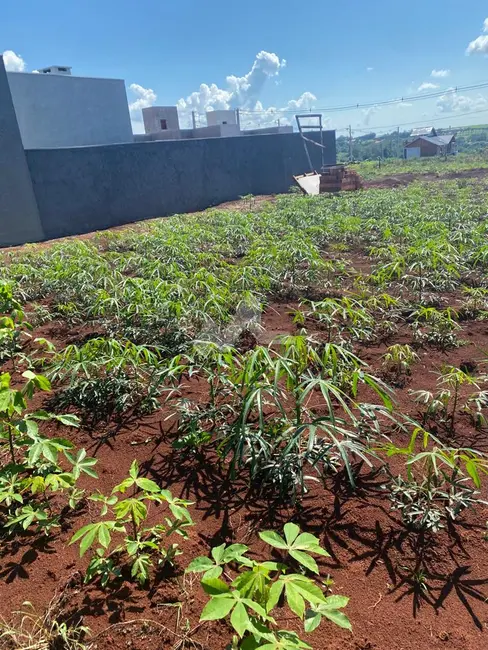 Foto 2 de Terreno / Lote à venda em Toledo - PR