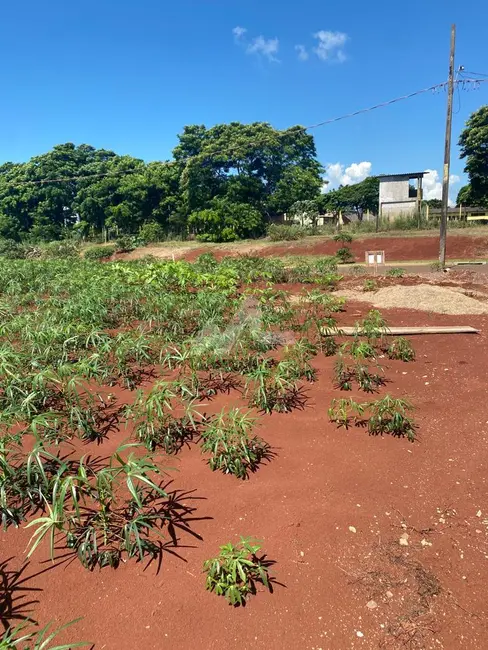 Foto 1 de Terreno / Lote à venda em Toledo - PR