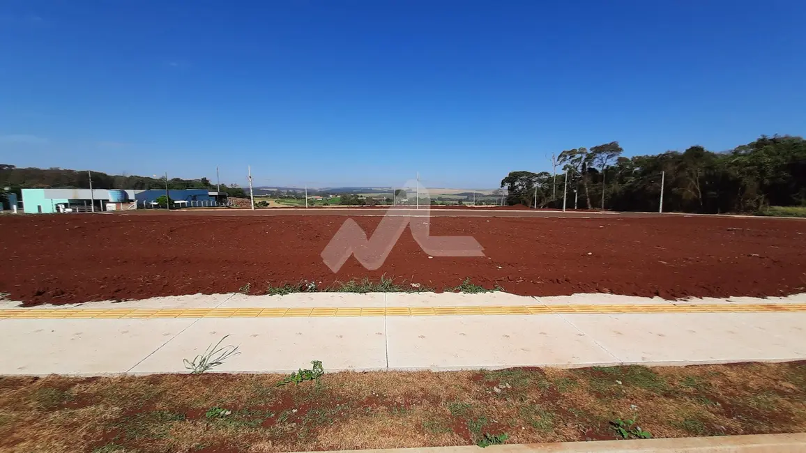 Foto 12 de Terreno / Lote à venda em Vila Becker, Toledo - PR