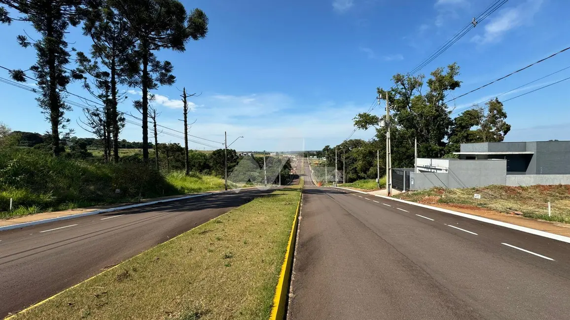 Terreno / Lote à venda, 360m2 em Vila Becker, Toledo - PR - imagem 5 Foto 5 de Terreno / Lote à venda, 360m2 em Vila Becker, Toledo - PR