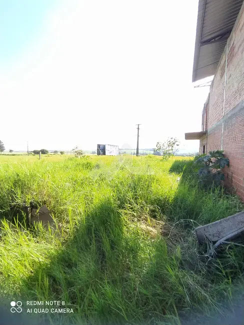 Foto 6 de Chácara para alugar, 500m2 em Toledo - PR