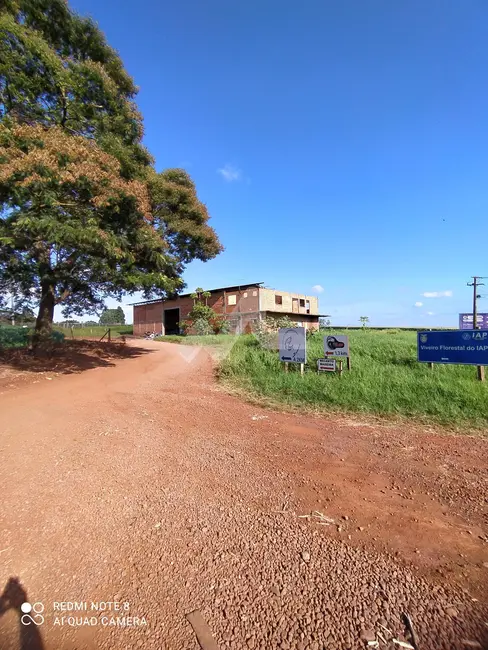 Foto 9 de Chácara para alugar, 500m2 em Toledo - PR
