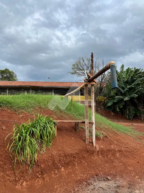 Chácara com 3 quartos à venda, 120m2 em Toledo - PR - imagem 9 Foto 9 de Chácara com 3 quartos à venda, 120m2 em Toledo - PR