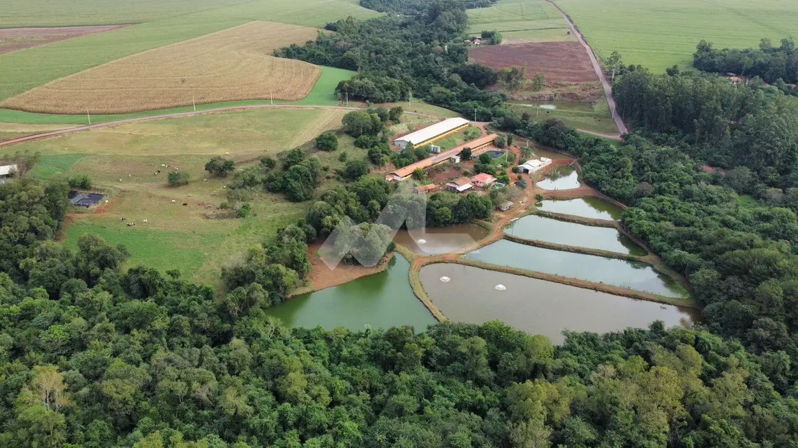 Chácara com 3 quartos à venda, 120m2 em Toledo - PR - imagem 5 Foto 5 de Chácara com 3 quartos à venda, 120m2 em Toledo - PR