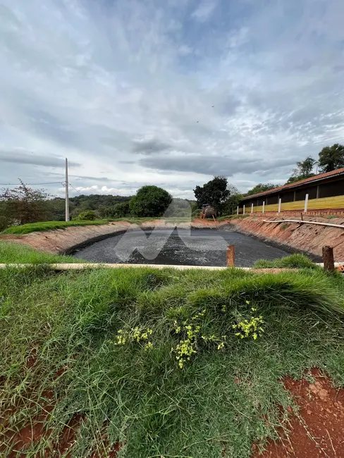 Chácara com 3 quartos à venda, 120m2 em Toledo - PR - imagem 8 Foto 8 de Chácara com 3 quartos à venda, 120m2 em Toledo - PR