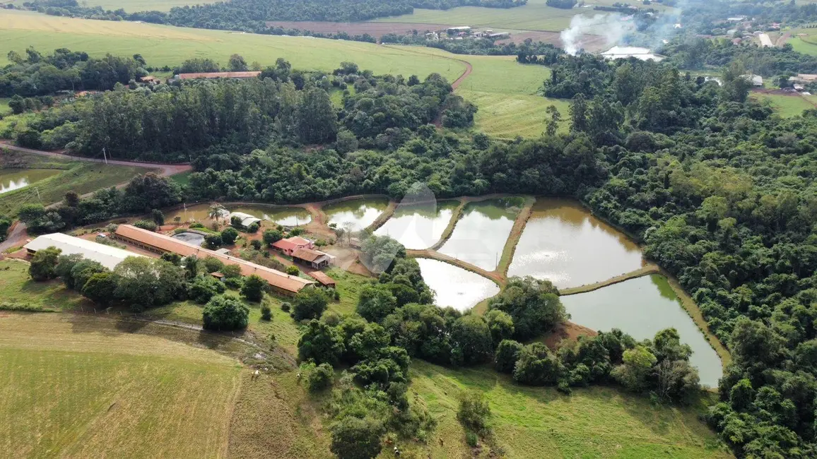 Chácara com 3 quartos à venda, 120m2 em Toledo - PR - imagem 6 Foto 6 de Chácara com 3 quartos à venda, 120m2 em Toledo - PR