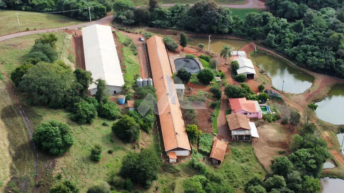 Chácara com 3 quartos à venda, 120m2 em Toledo - PR - imagem 3 Foto 3 de Chácara com 3 quartos à venda, 120m2 em Toledo - PR