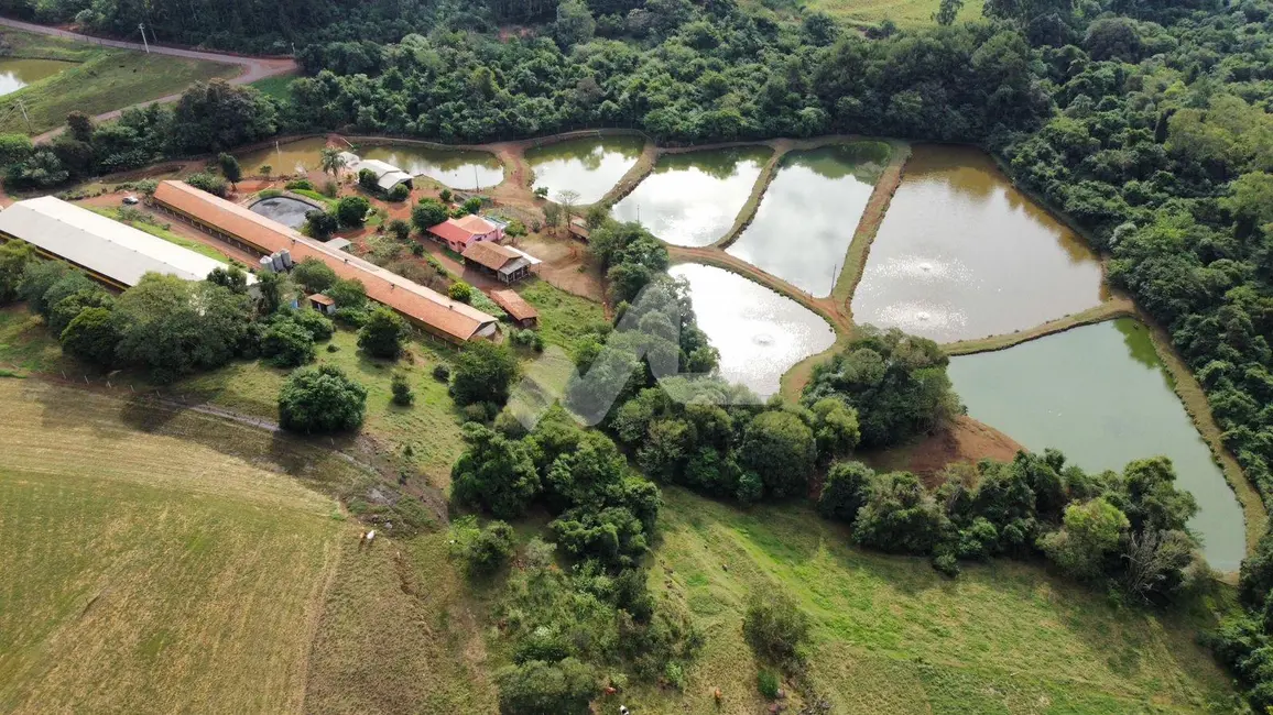 Chácara com 3 quartos à venda, 120m2 em Toledo - PR - imagem 7 Foto 7 de Chácara com 3 quartos à venda, 120m2 em Toledo - PR
