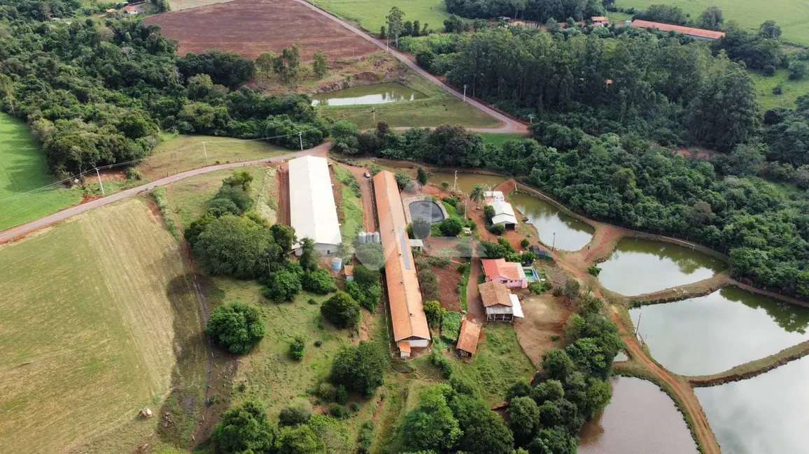 Foto 2 de Chácara com 3 quartos à venda, 120m2 em Toledo - PR