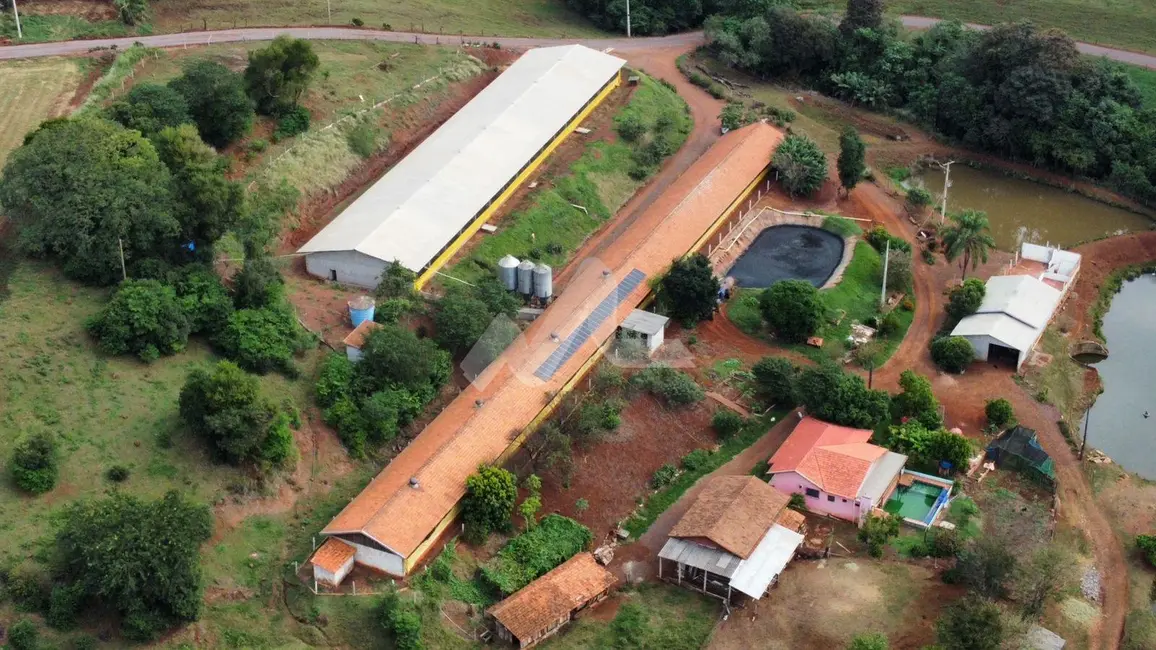 Chácara com 3 quartos à venda, 120m2 em Toledo - PR - imagem 4 Foto 4 de Chácara com 3 quartos à venda, 120m2 em Toledo - PR